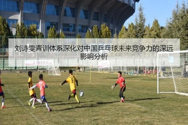 刘诗雯青训体系深化对中国乒乓球未来竞争力的深远影响分析