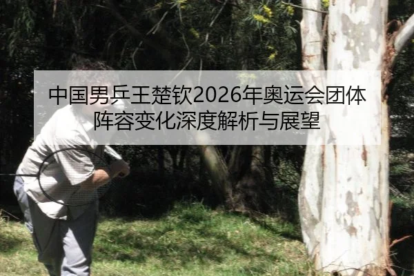 zhong-guo-nan-ping-wang-chu-qin-nian-ao-yun-hui-tuan-ti-zhen-rong-bian-hua-shen-du-jie-xi-yu-zhan-wang-2-310.jpg
